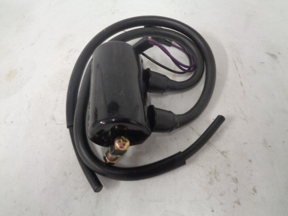 Kawasaki Jet Ski 1976-1980 JS400 JS440 NEW OEM Igniter Assembly # 21121-518