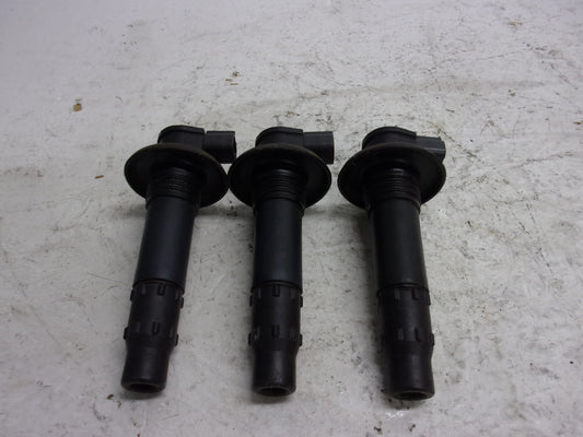 Sea Doo 2003-2014 GTX RXP RXT GTI Wake OEM Ignition Coil Set Part# 420664020