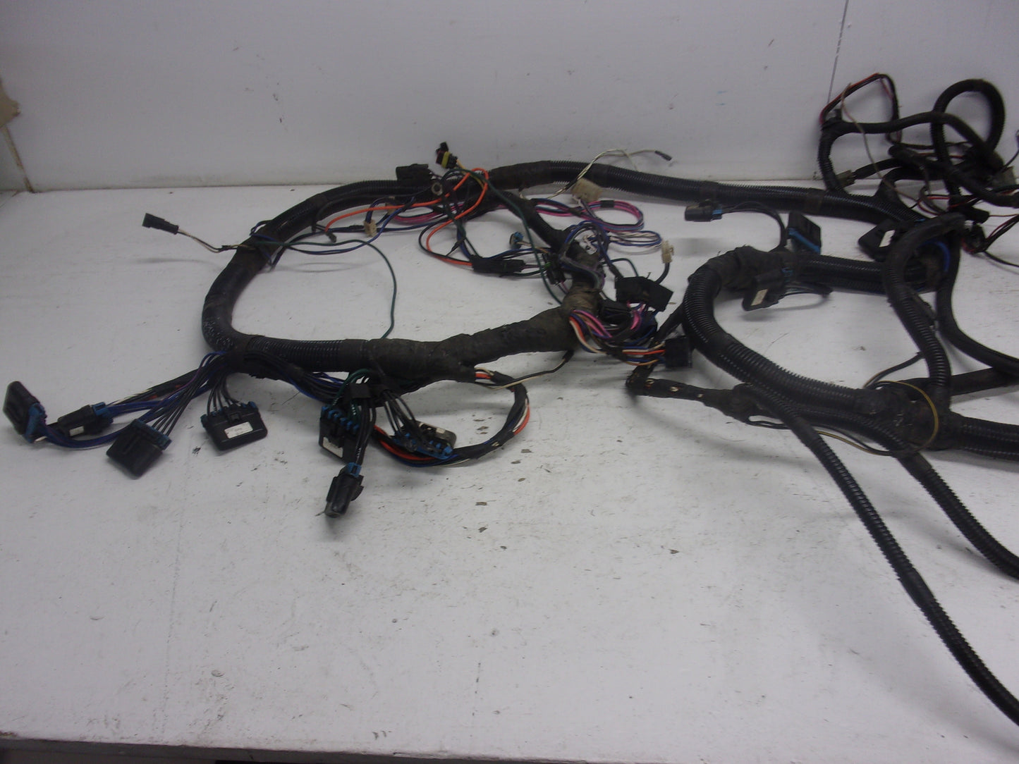 Sea Doo Jet Boat 1999 Challenger 1800 OEM Main Wire Harness Assembly # 204470304
