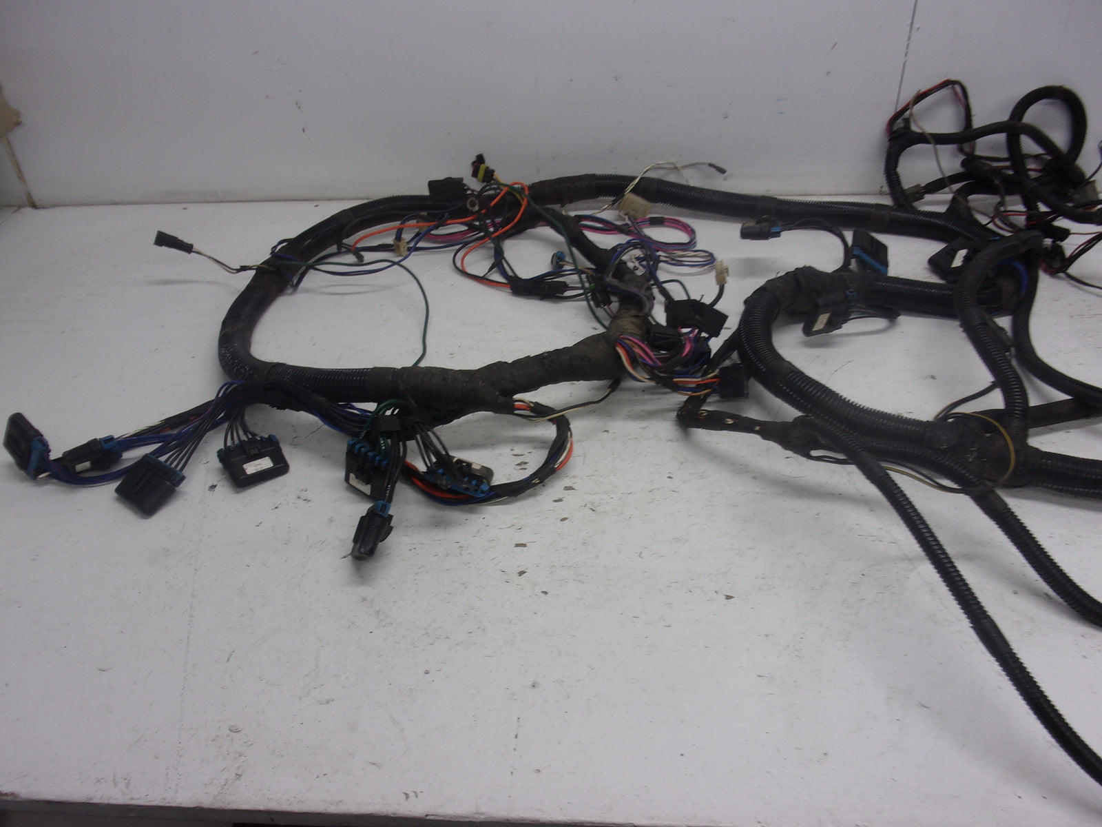 Sea Doo Jet Boat 1999 Challenger 1800 OEM Main Wire Harness Assembly # 204470304