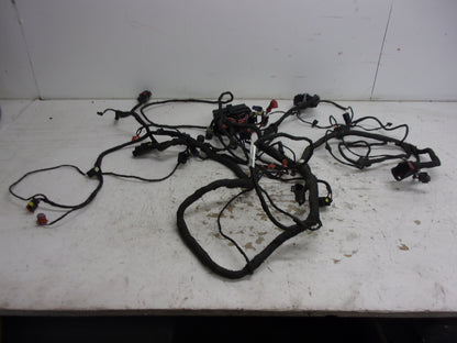 Can-Am Roadster 2019-2020 Ryker OEM Main Wire Harness Part# 710006898