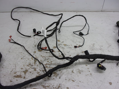 Can-Am Roadster 2019-2020 Ryker OEM Main Wire Harness Part# 710006898