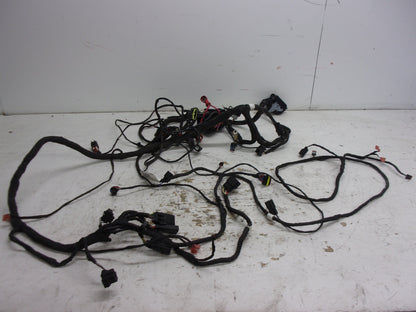 Can-Am Roadster 2019-2020 Ryker OEM Main Wire Harness Part# 710006898