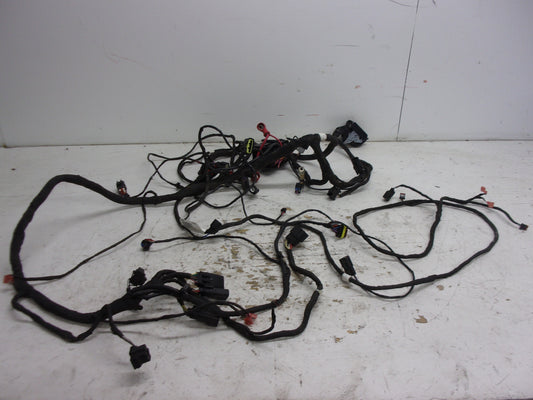 Can-Am Roadster 2019-2020 Ryker OEM Main Wire Harness Part# 710006898