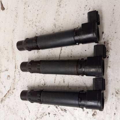 Sea Doo Bombardier 2003-2014 GTX RXP RXT OEM Ignition Coil Set Part# 420664020