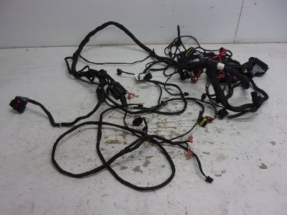 Can-Am Roadster 2019-2020 Ryker OEM Main Wire Harness Part# 710006898
