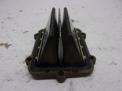Polaris Snowmobile 2005-2022 RMK Switchback Indy OEM Reed Valve Set # 1202698