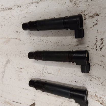 Sea Doo Bombardier 2003-2014 GTX RXP RXT OEM Ignition Coil Set Part# 420664020