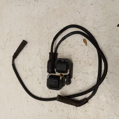 Can-Am Roadster 2008-2016 ST RT GS RS OEM Complete Ignition Coil Part# 278001546