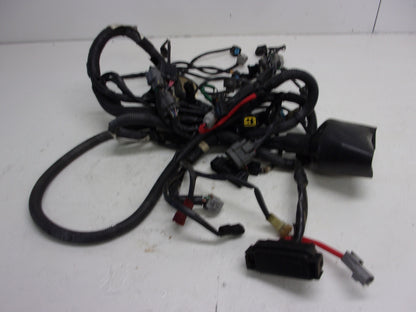 Honda  Aquatraxx 2002-2003 F-12 F-12X Frame + Engine Harness Set # 32100-HW1-680