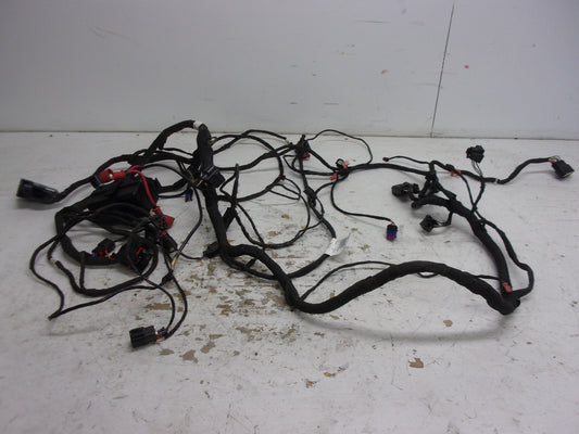 Can-Am Roadster 2019-2020 Ryker OEM Main Wire Harness Part# 710006898