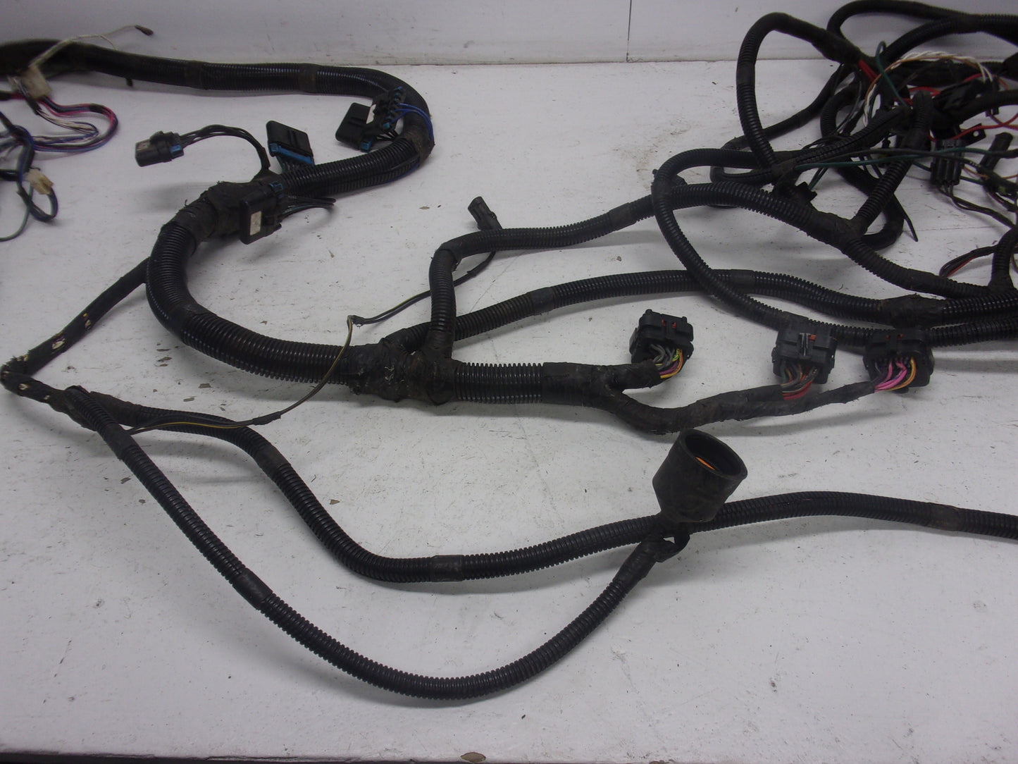 Sea Doo Jet Boat 1999 Challenger 1800 OEM Main Wire Harness Assembly # 204470304