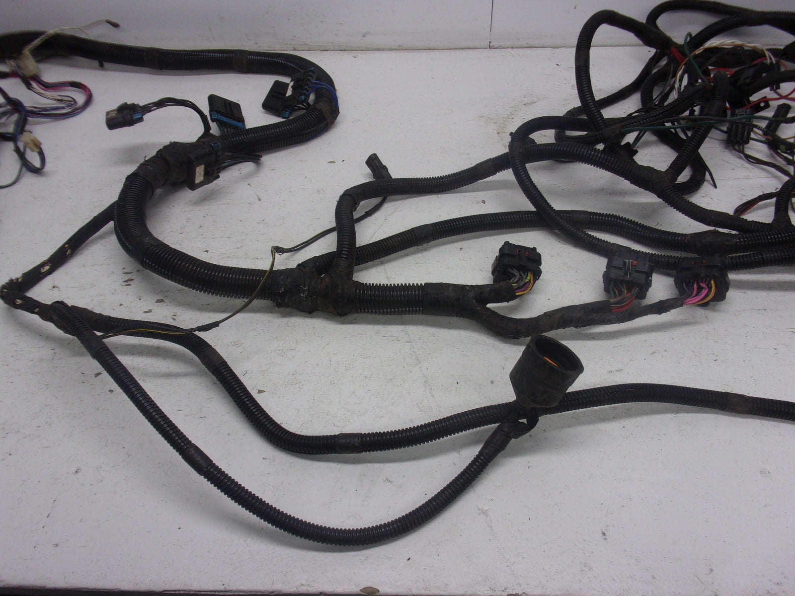 Sea Doo Jet Boat 1999 Challenger 1800 OEM Main Wire Harness Assembly # 204470304