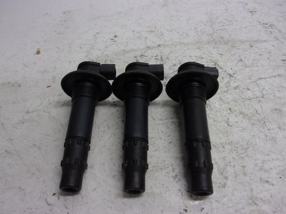 Sea Doo 2003-2014 GTX RXP RXT GTI Wake OEM Ignition Coil Set Part# 420664020