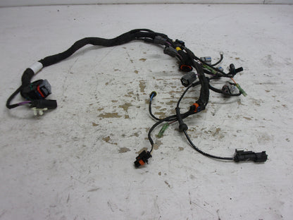 Can-Am Roadster 2019-2020 Ryker OEM Engine Wire Harness Part# 420864355
