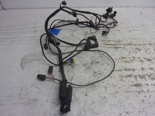 Can-Am Roadster 2008-2012 Spyder RS GS OEM Engine Wire Harness Part# 710001488