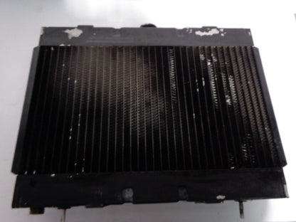 Argo Amphibious Vehicle 8X8 Avenger Radiator Assembly # LH690-0014