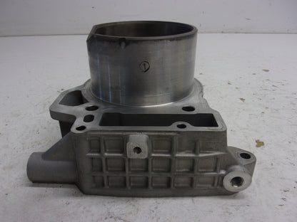Can-Am Roadster 2008-2012 Spyder RS GS OEM Cylinder Assembly Part# 420623223