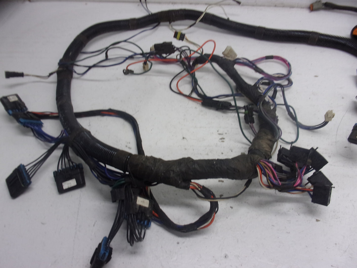 Sea Doo Jet Boat 1999 Challenger 1800 OEM Main Wire Harness Assembly # 204470304